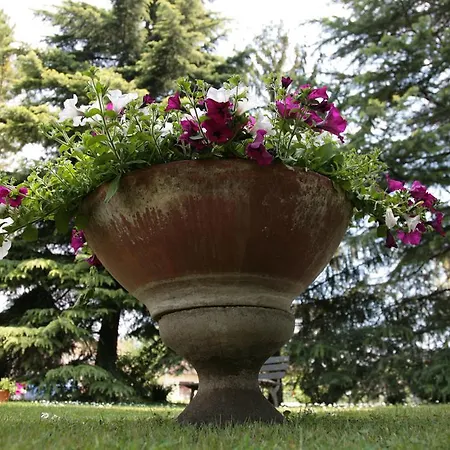 Bassetto Ferentino