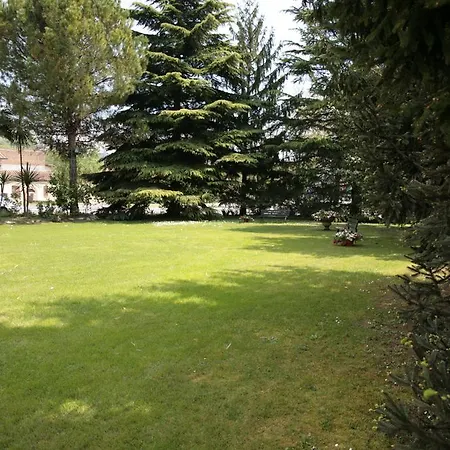 Hotel Bassetto 3*