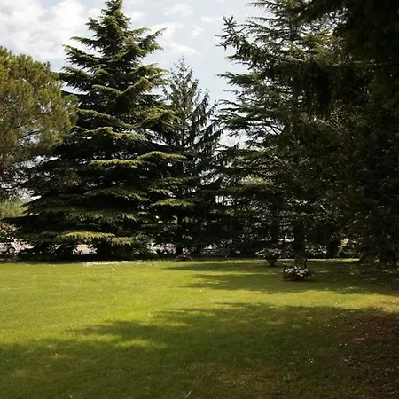 Bassetto Hotel 3*